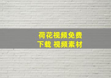 荷花视频免费下载 视频素材